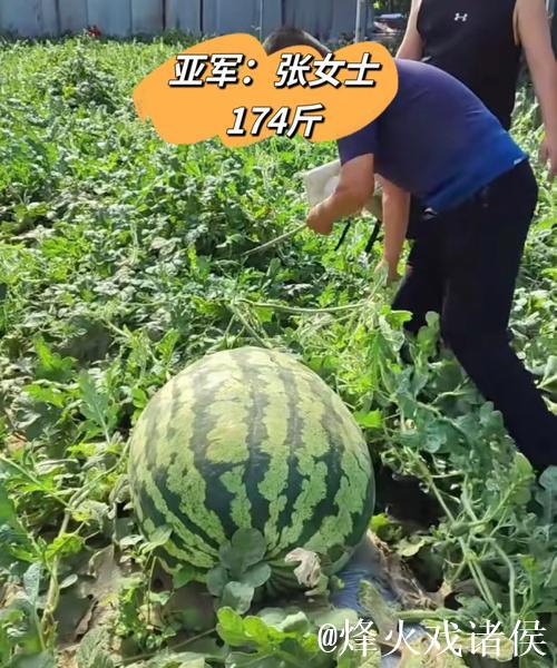 最新51吃瓜网:今日大瓜背后的故事揭秘 最新51吃瓜网:今日大瓜背后的故事揭秘